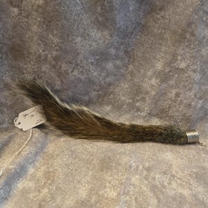 May include: A brown and gray squirrel tail with a silver-toned metal cap at one end. A small white paper tag is attached to the base of the tail with a string, featuring the handwritten text "Squirrel Tail 226" in black ink.