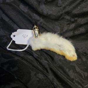 Lucky Rabbits Foot R6