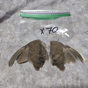 1 set Dried Quail Wings x70
