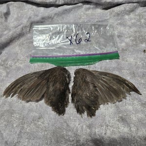 1 set Dried Quail Wings x62