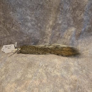 May include: A brown and gray squirrel tail attached to a silver-toned metal filigree cap with a short chain. A white paper tag is tied to the metal cap, featuring the handwritten text "Squirrel Tail" and the number "229" in black ink.