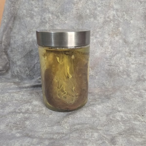 Cow Heart Wet specimen jar w280