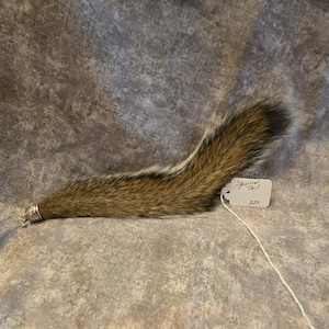 May include: A brown and gray squirrel tail with a silver-toned metal cap at the base. A white rectangular tag is attached to the fur with a string, featuring the handwritten text Squirrel Tail and the number 225 in black ink.