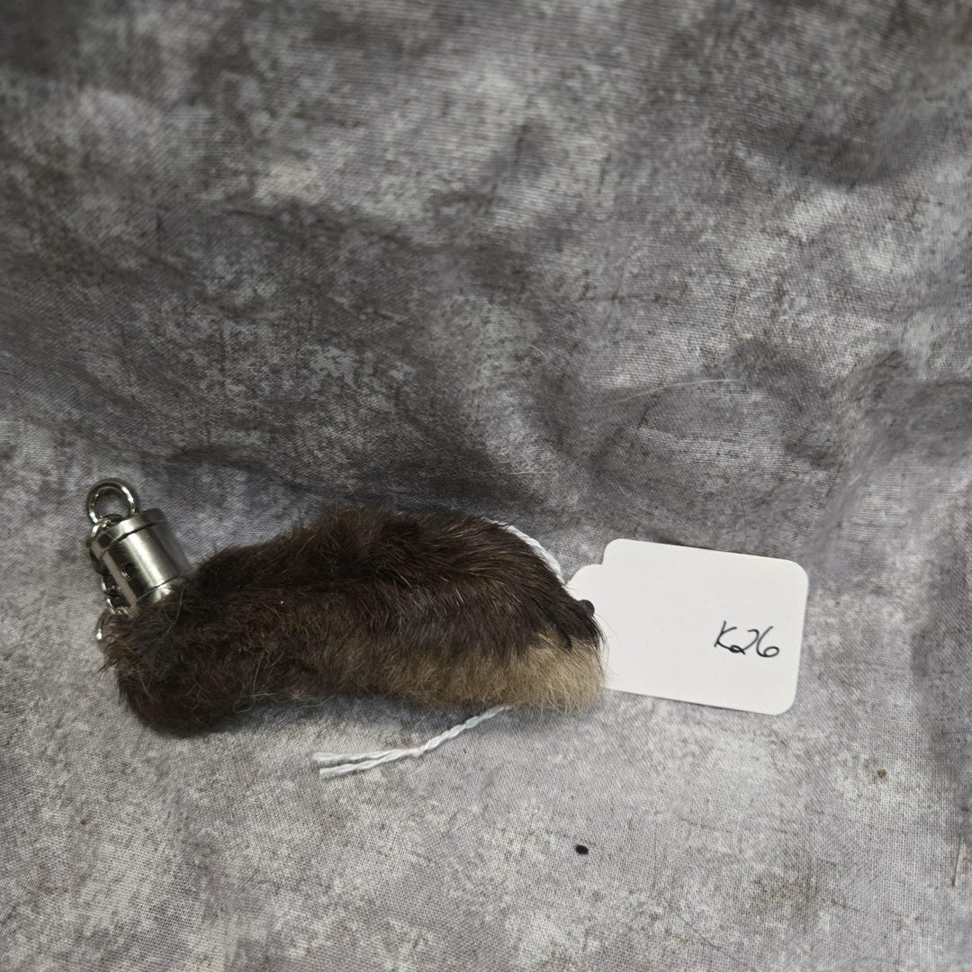 Lucky Rabbits Foot K26 - Etsy
