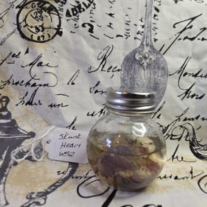 Wet Specimen Skunk Heart w52
