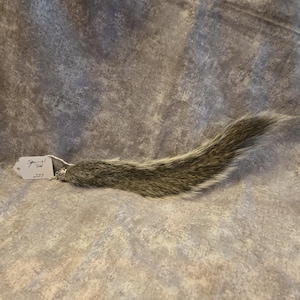 May include: A gray and brown squirrel tail with a silver-toned metal cap at the base. A white paper tag is attached to the metal cap with a string, featuring the handwritten text "Squirrel Tail" and the number "227" in black ink.