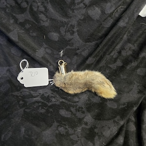 Lucky Rabbits Foot R10