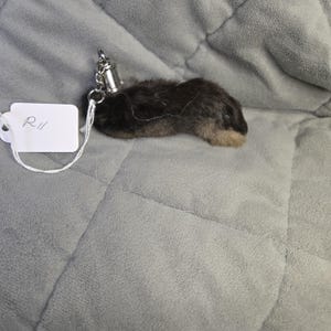 Lucky Rabbits Foot R11