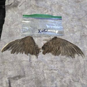 1 set Dried Quail Wings x20