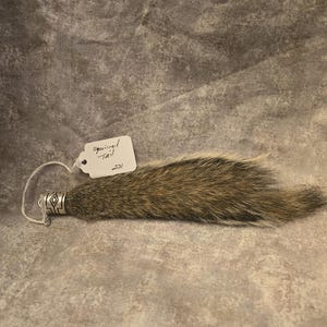 May include: A brown and gray squirrel tail attached to a silver-toned metal cap with a geometric pattern. A white rectangular tag is tied to the cap with a string, featuring the handwritten text Squirrel Tail and the number 231 in black ink.