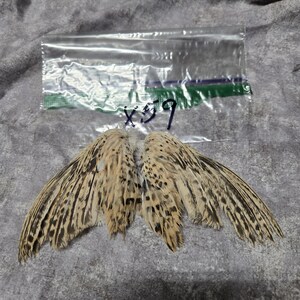 1 set Dried Quail Wings x59