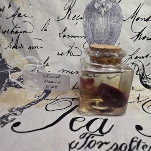 Wet Specimen Skunk Heart w186