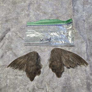 1 set Dried Quail Wings x24