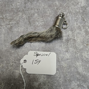 May include: A squirrel's foot keychain with a silver-colored metal cap and ring. The foot is gray and brown, with visible fur. A white tag with the word "Squirrel" and the number "159" is attached.