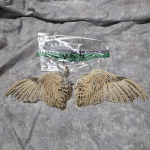 1 set Dried Quail Wings x55