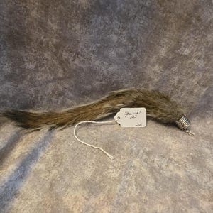 May include: A brown and gray squirrel tail attached to a silver-colored metal coil cap. A white rectangular paper tag is tied to the base with a string, featuring the handwritten text "Squirrel Tail" and the number "25" written below it.