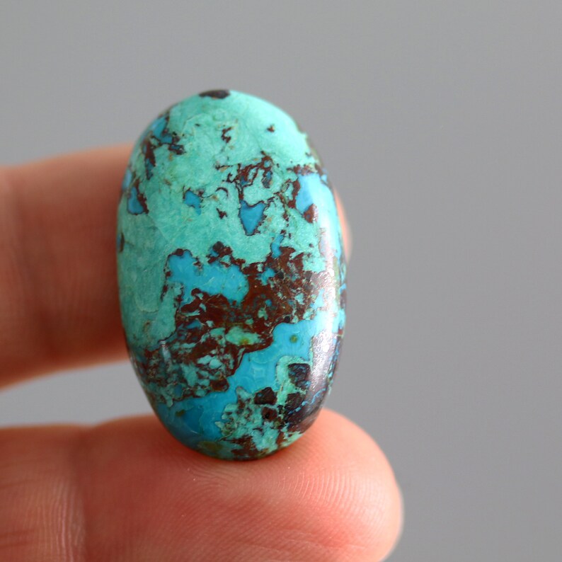 28x17mm Focal Chrysocolla Oval Cabachon Chrysocolla Cabachon