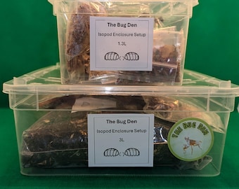 Isopod enclosure full setup kit. Substrate, moss, cork bark, lotus pod, leaf litter, cuttle fish