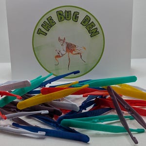 May include: A pile of colourful plastic tweezers, some are red, yellow, blue, green, and purple. The tweezers are arranged in a random pattern. The image includes the text "The Bug Den".