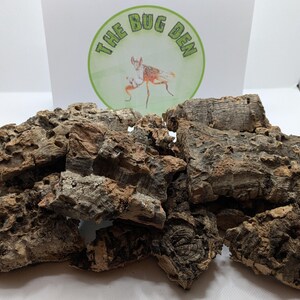Cork bark pieces. Cork bark for isopods, praying mantis, jumping spiders and reptiles