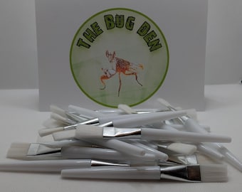 Jumping spider brush. Soft brush for moving spider