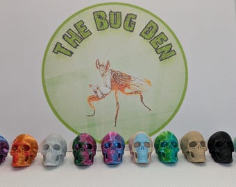 Mini skull. Jumping spider, mantis or isopod, invert accessory. 3D printed enclosure decor.