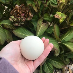 SQUISHY DOUGH BALL, stress relief dough ball, squishy ball, slow rise squishy ball,