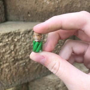 WORLDS TINIEST PICKLEJAR!