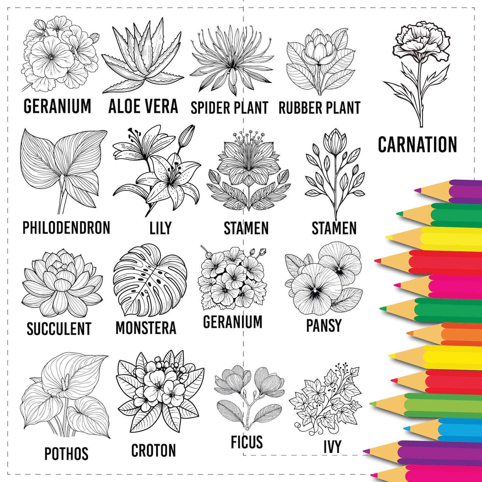 Cute Printable 36 Plants & Flowers Coloring Pages for Kids and Adults, Bold and Easy for ...