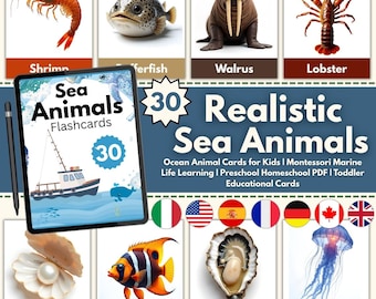 30 Realistic Sea Animals Flashcards | Ocean Learning Cards (PDF Download)