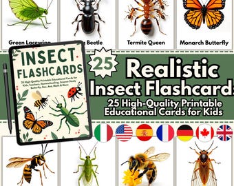 Insect Flashcards: Multilingual Educational Cards for Kids (Digital Download, PDF & PNG Files)