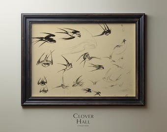 Vintage Swallows Print | vintage bird art | swallow drawing | vintage ink drawing | neutral wall art | swallow art print | swallow art