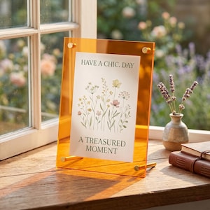 May include: An orange acrylic photo frame with gold-coloured hardware holds a card with floral illustrations and the text "HAVE A CHIC. DAY" and "A TREASURED MOMENT". The frame is on a wooden surface near a window.