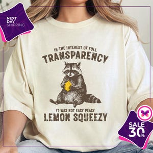 Comfort Colors® Funny Raccoon Shirt | In The Interest Of Full Transparency It Was Not Easy Peasy Lemon Squeezy Raccoon Shirt