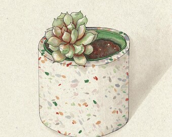 Op de afbeelding: Een vetplant in een witte terrazzo pot met groene, rode en oranje vlekken. De pot heeft een groene rand.