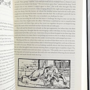 Los cuentos de hadas completos de los hermanos Grimm ilustrados por Arthur Rackham *Nuevos y sellados* imagen 6