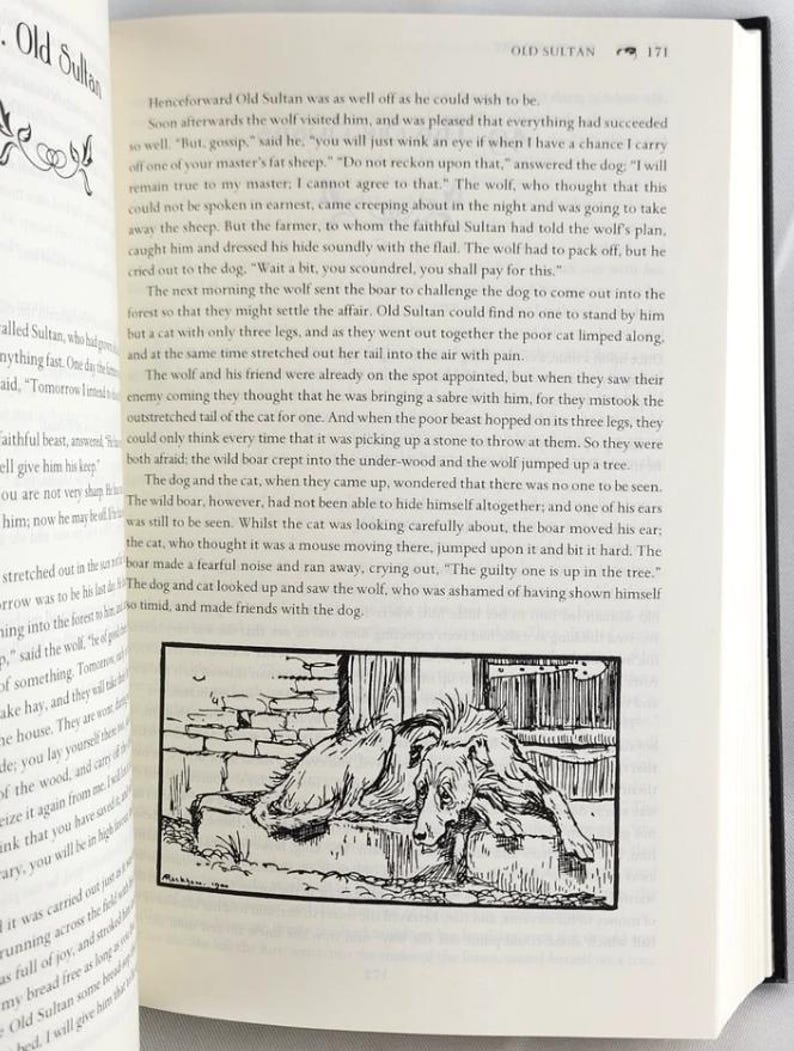 Los cuentos de hadas completos de los hermanos Grimm ilustrados por Arthur Rackham *Nuevos y sellados* imagen 6