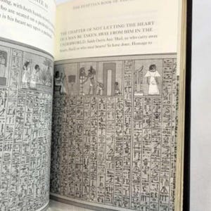 May include: A page from "The Egyptian Book of the Dead" with black and white illustrations and text. The text includes the phrase "The Chapter of Not Letting the Heart of a Man Be Taken Away From Him in the Underworld".