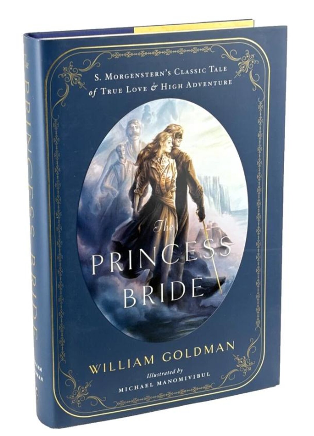 The PRINCESS BRIDE by William Goldman Illustrated Hardcover Edition - Etsy