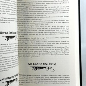 PROPHECIES & ORACLES Myths and Tales Gothic Fantasy Deluxe Hardcover *New* image 4
