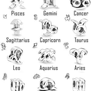 Zodiac Signs Charm Bead, 925 Sterling Silver, Gift for Her, DIY, Fit Pandora