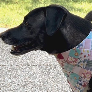 Handmade Patchwork Dog Bandana –  Unique Reversible Cotton Dog Scarf, Quilted Pet Accessory, Gift for Dog Lovers