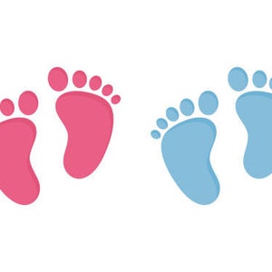 May include: Illustration of two sets of baby footprints. One set is pink, and the other is light blue. The footprints are stylized and appear on a white background. The image is a simple, graphic representation of baby feet.