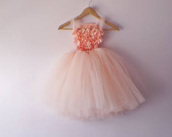 Gorgeous Flower Girl Dress, Photo Prop, Flower Girl Dress, Blush Pink, Flower Top, Tutu Dress