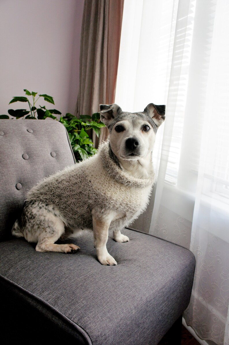 Gray Dog Sweater Beige Knit Dog Sweater Small Dog Sweater Chihuahua sweater Pet Sweater-Dog Warm Clothes Multiple sizes image 4