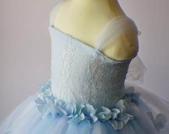 Blumenmädchen Kleid, Tutu Kleid, Foto-Prop, purpurrote Blumenkleid, Spitzentop, Kaskadierung, Blumen, Tutu Kleid, Baby Blau Kleid, weißes Kleid