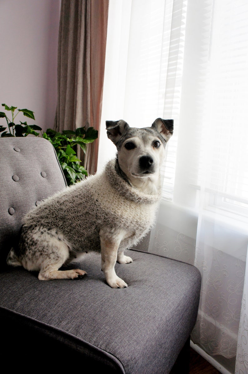 Gray Dog Sweater Beige Knit Dog Sweater Small Dog Sweater Chihuahua sweater Pet Sweater-Dog Warm Clothes Multiple sizes image 3