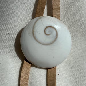 May include: A circular white shiva eye shell pendant featuring a natural brown spiral pattern on its surface. The shell is attached to a flat, light tan leather cord that extends vertically behind the center of the round shell piece.