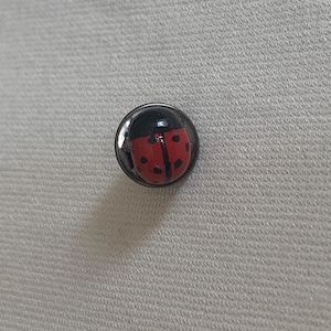 Ladybug Pin