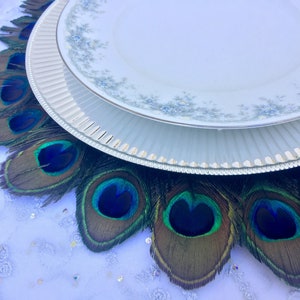 May include: A white dinner plate with a floral pattern sits on top of a white charger plate with a silver rim. The plates are surrounded by a ring of peacock feathers with blue and green eyes.